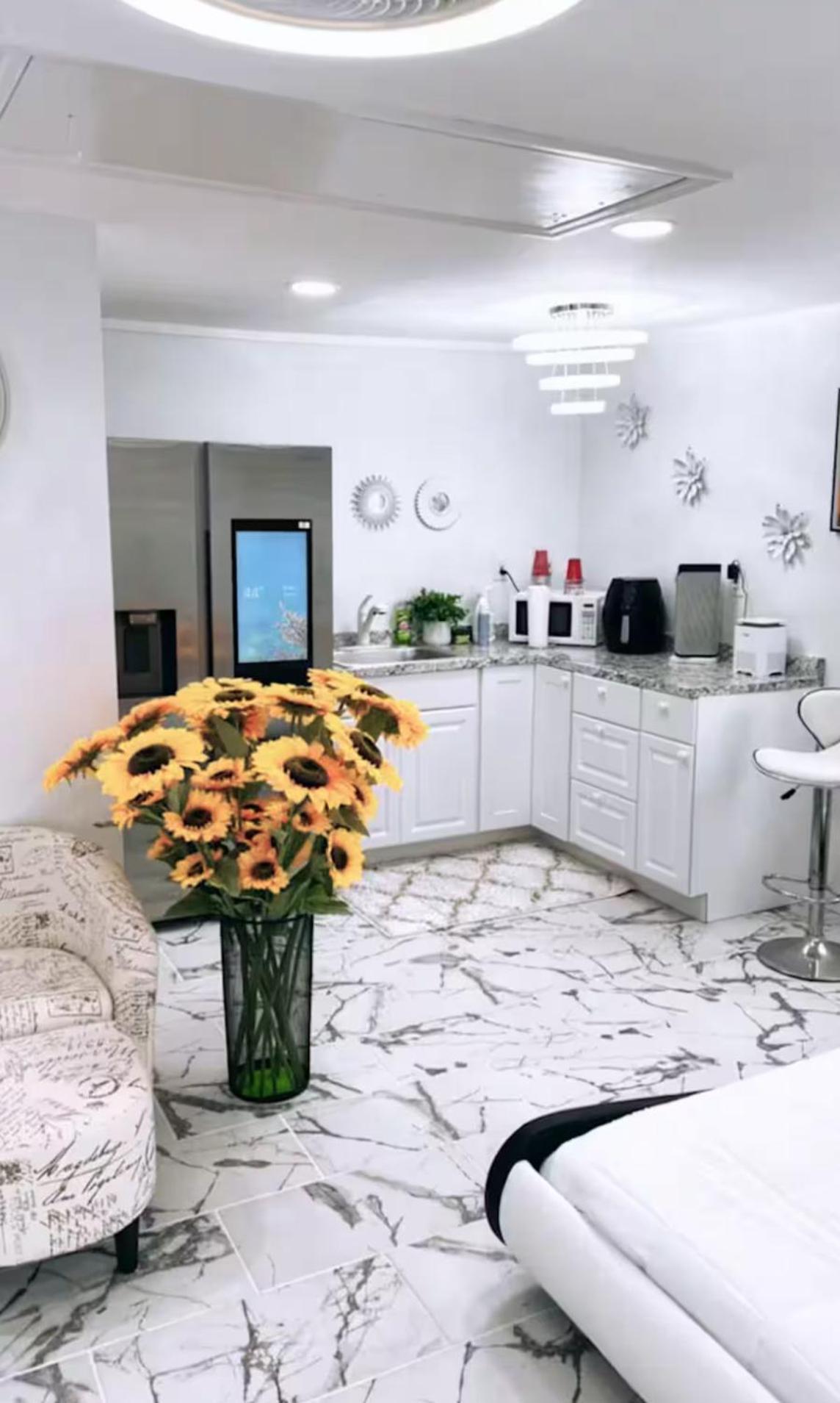 Studio Guest House Apartment Hempstead